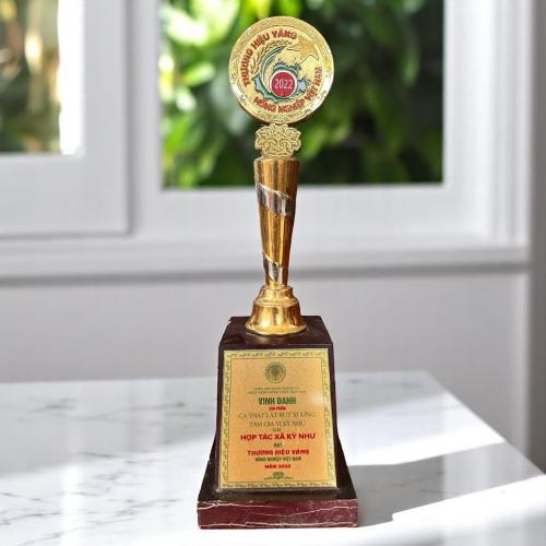 Cúp & Kỷ Niệm Chương